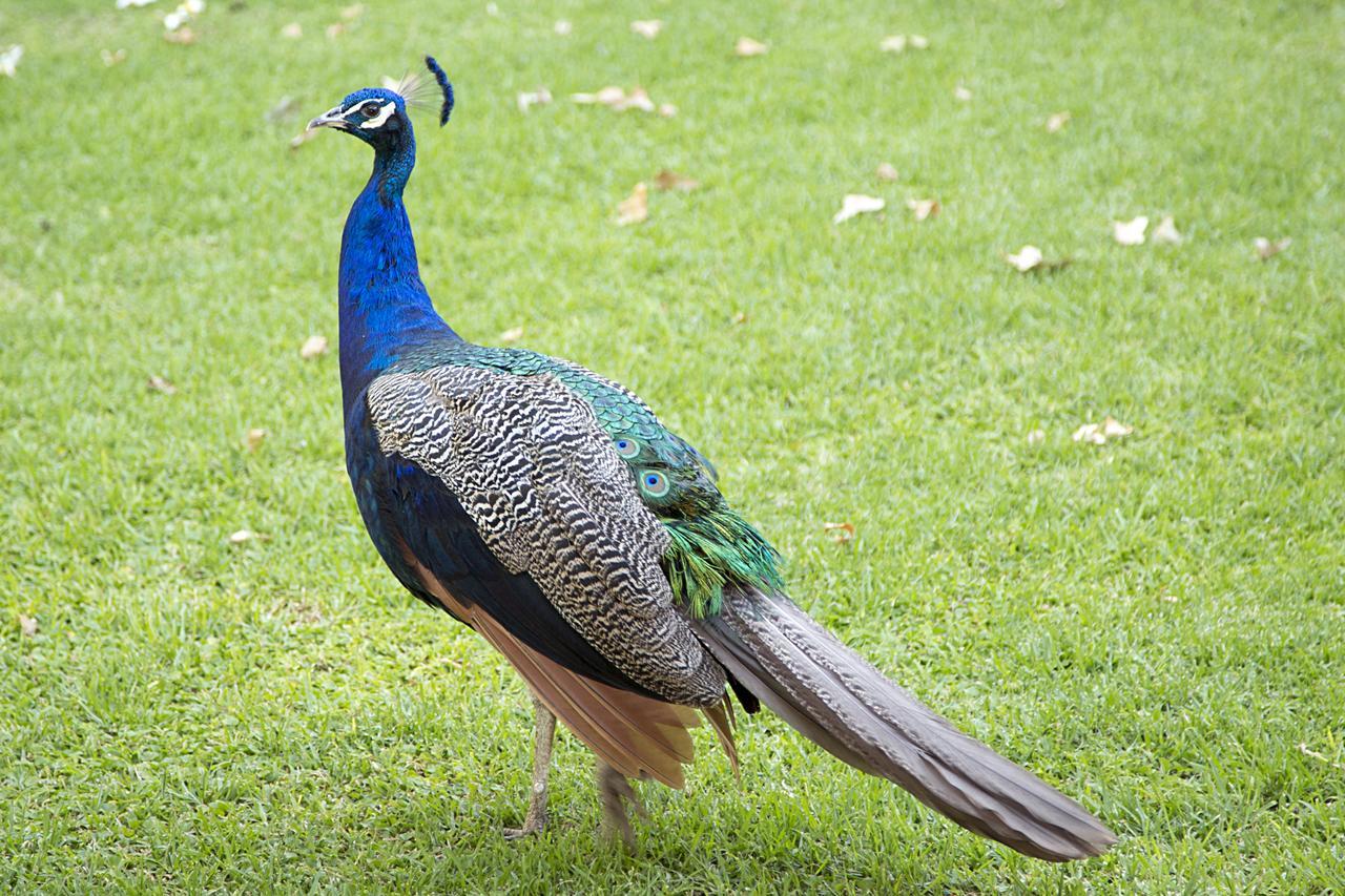 Bush Lovers Lodge Modimolle Luaran gambar