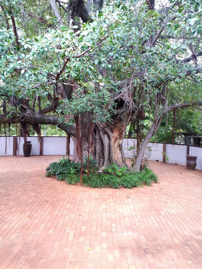 Bush Lovers Lodge Modimolle Luaran gambar